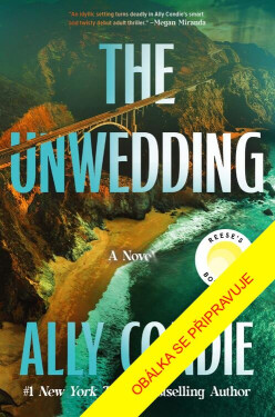 Sliby a lži - Ally Condie