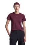 ICEBREAKER Wmns Merino 125 CL Sphe SS Tee Col Block, Dark Berry/Grey Plum/Cb (vzorek) velikost: S