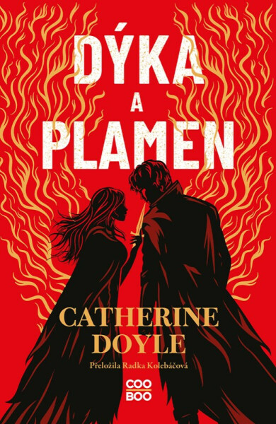 Dýka a plamen - Catherine Doyleová