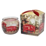 ARÔME - Brusinka a hřebíček Vonná svíčka 90 g