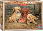 EUROGRAPHICS Puzzle Štěňata se starou botou
