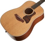 Taylor Gold Label 510e