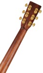 Sigma Guitars DT-41 (použité)