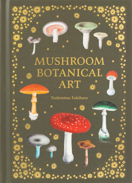 Mushroom Botanical Art - Pie International