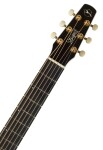 Seagull Artist Peppino Signature CW Burnt Umber