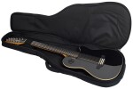 Godin A12 Black HG