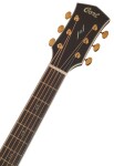 Cort Gold-A8 LB