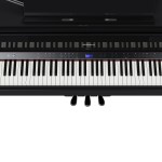 Roland GP-9M PE