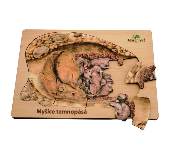 Puzzle z lesa - Myšice