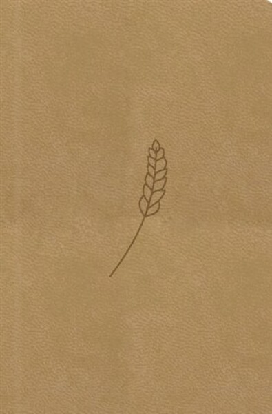 Bible21 – kapesní