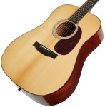 Eastman E6D-TC