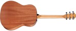 Taylor 117e