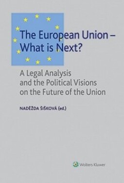 The European Union What is Next?