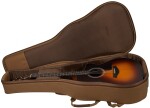 Taylor 114ce Sunburst