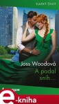 A padal sníh… - Joss Woodová e-kniha