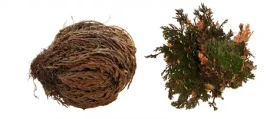 Lucky Reptile Rose of Jericho 50 g FP-64210