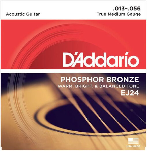 D'Addario EJ24