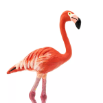 Safari Ltd. Safari Ltd. Figurka - Plameňák