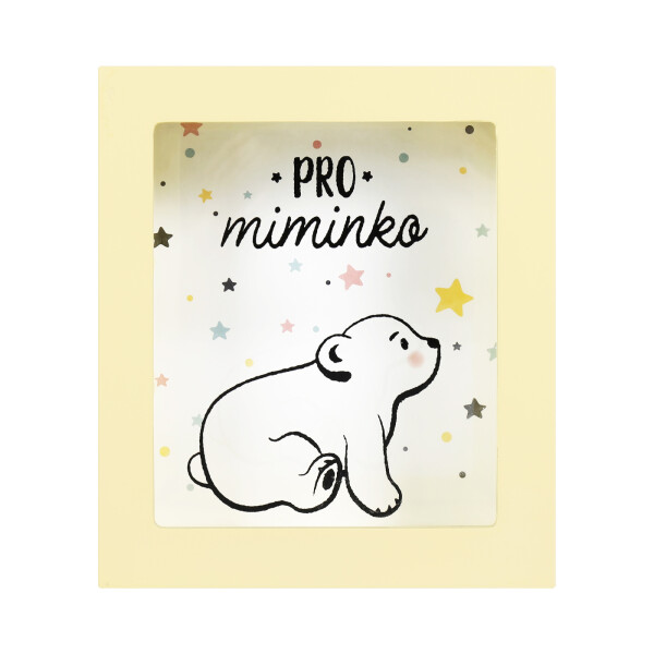 Pokladnička - Pro miminko - Albi