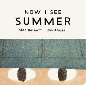 Now I See Summer - Mac Barnett
