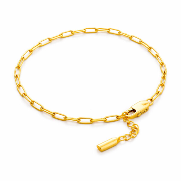 Pánský náramek Louis Gold - chirurgická ocel, Zlatá 18 cm + 2 cm (prodloužení)