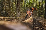 Aku řetězová pila STIHL MSA 260 C-O