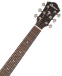 Ibanez AEG200-LGS - Natural Low Gloss