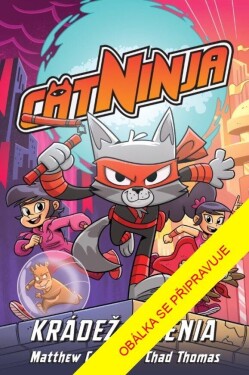 Cat Ninja: Krádež milénia - Matthew Cody