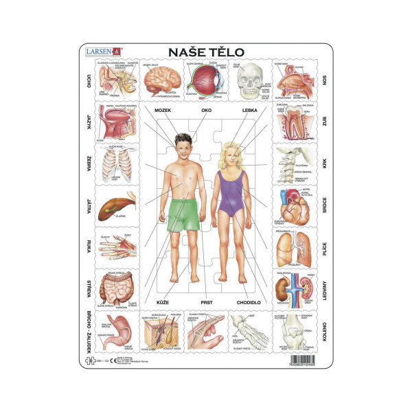 Puzzle Naše tělo 35 dílků - Larsen
