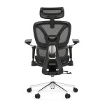 Kancelářská židle, synchronní mechanismus, černá síťovina, KA-B2361 BK