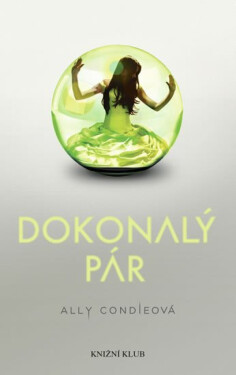 Dokonalý pár (poškozená) - Ally Condieová