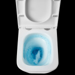 Erga Mery, závěsná WC mísa Rimless Tornado Flush 490x340x350 mm + toaletní sedátko s pomalým zavíráním, bílá, ERG-MERY-CE-94-001