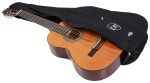 Tanglewood EM C3