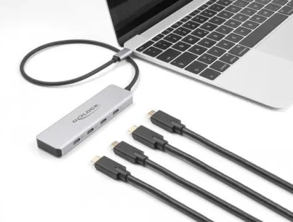 DeLock 64231 šedá / USB hub / USB-C / 4× USB-C / 10 Gbps (64231)