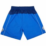 Mitchell & Ness Pánské kraťasy Dallas Mavericks NBA 2010-11 Swingman Shorts Velikost: L