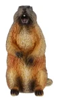 ZOOTED Figurka Svišť žlutobřichý