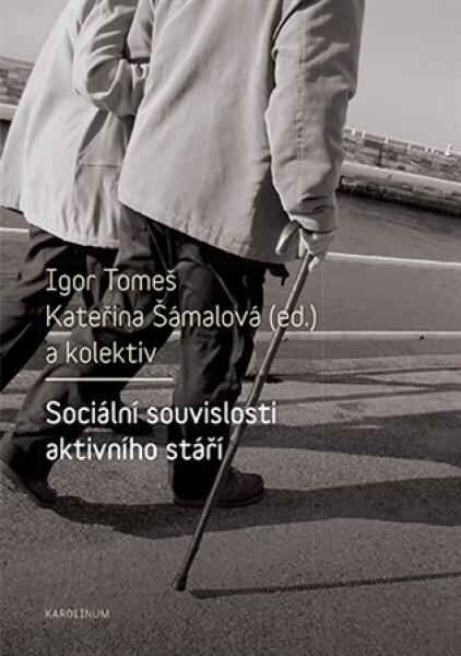 Sociální souvislosti aktivního stáří - Igor Tomeš, Kateřina Šámalová