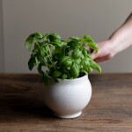 Storefactory Keramický obal na květiny Berghalla Off-White Ø 10 cm, krémová barva, keramika