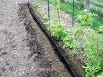 GEOMAT Protikořenová fólie – Root barrier - tloušťka 1 mm, černá 0,6×3 m [1,8 m²]