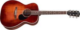 Eastman PCH2-OM-CLA