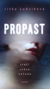 Propast Jitka Ludvíková