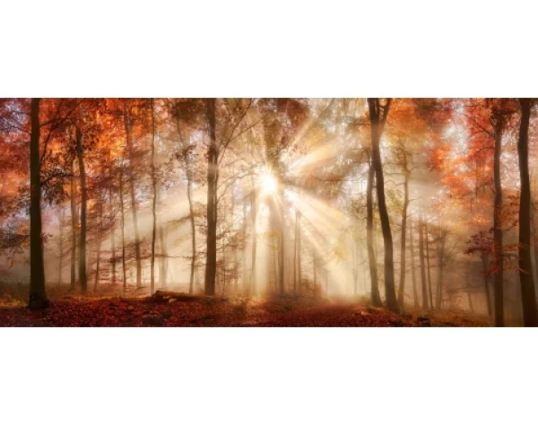 Panoramatický obraz na plátně Podzimní les, 140x60 cm
