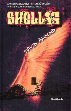Skellig - David Almond
