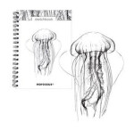 Skicovací spirálový notes B5 - Medúza
