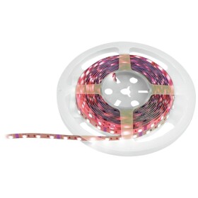 Eurolite 50530136 LED pásek 12 V 5 m RGB 5 m