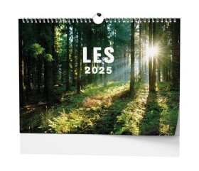 Les 2025 nástěnný kalendář