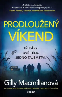 Prodloužený víkend (poškozené) - Gilly Macmillan