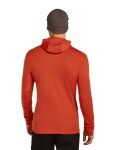 ICEBREAKER Mens 260 Quantum IV LS Zip Hood, Agate (vzorek) velikost: M