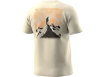 Dynafit Back Graphic Cotton pánské triko krátký rukáv Overcast/Summit vel. M