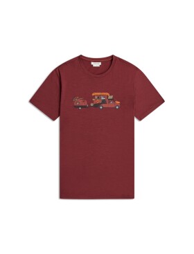 ICEBREAKER Mens Merino 150 Tech Lite SS Tee Transportage, Port (vzorek) velikost: M